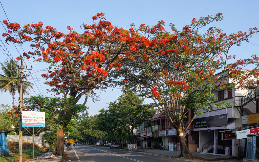 siddharthanagar Escorts